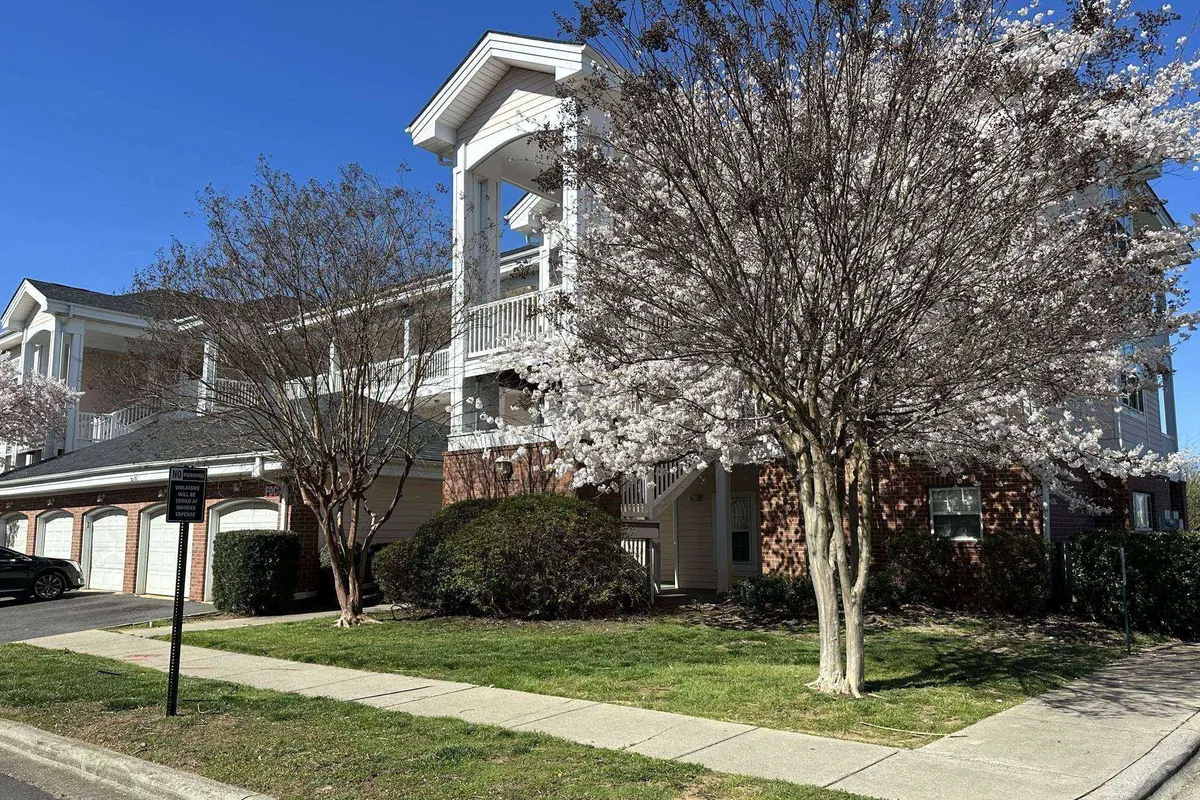 An exterior view of the property featuring vibrant cherry blossom trees framing the front entrance and a balcony above. The scene shows people strolling through the neighborhood, enjoying the natural beauty and the inviting, lively atmosphere. The yard is set up for gatherings, with visible potential for outdoor events or relaxation.